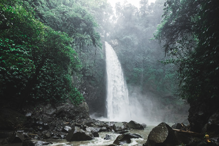Bali waterfall Nung-Nung in deep jungleの写真素材