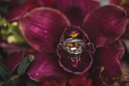 Wedding rings close-up inside big pink orchid flowerの写真素材