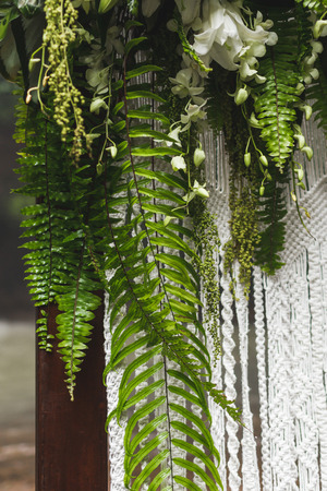 Wedding arch decoration with tropical flowers and plants, leaves of monstera and fernの写真素材