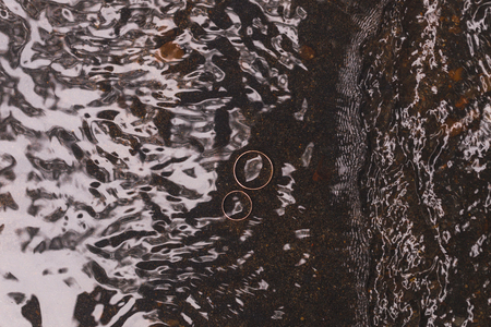 Wedding rings on water surface textureの写真素材