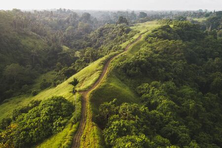 Aerial view of Campuhan Ridge Walk , Scenic Green Hill in Ubud Baliの写真素材