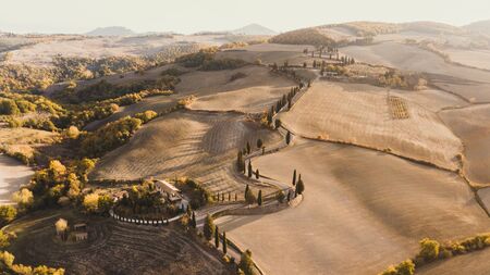 Aerial drone landscape of famous Tuscany hills, Italy. Abstract view of curved serpentine road with cypress alley. Empty agricultural fields in autumn in golden orange colours. San Quirico dOrcia.の写真素材
