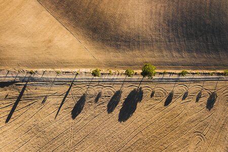 Abstract drone view of famous Tuscan hills in San Quirico dOrcia, Italy - empty agricultural fields in autumn and cypress trees in golden orange sunset light. Drone aerial photo, nature background.の写真素材