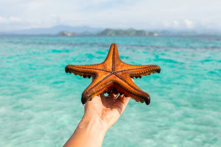 Woman hand holding red starfish. Travel and vacation concept. Background of tropical islands and...