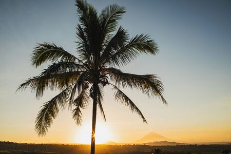 Tropical sunset with palm view and mountains on background. Vacations in Asia, empty place for sign, logo or text. Harmony in nature.の写真素材