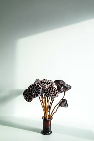 Flower pot with dried lily on white table background. Minimal style in interior decoration. Contemporary concept. Beautiful sun light. Empty place for text or sign.の写真素材