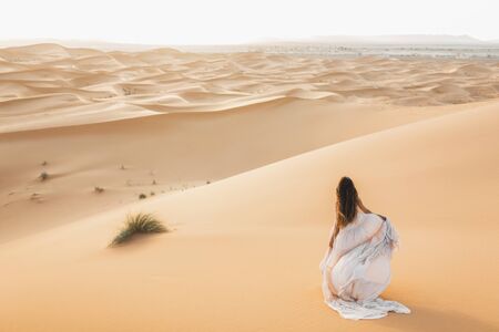Portrait of bride woman in amazing wedding dress in Sahara desert, Morocco. Warm evening light, beautiful pastel tone, sand dunes on horizon. View from behind.の写真素材