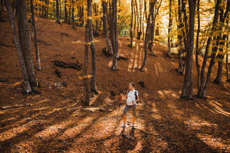 Pregnant woman nordic walking in autumn forest with backpack and trekking sticks. Healthy and active lifestyle in maternity time. Pregnancy exercises for wellness.の写真素材