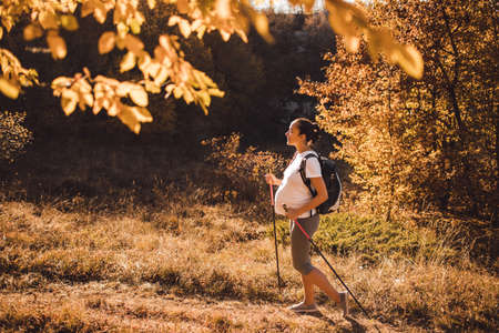 Pregnant woman nordic walking in autumn forest with backpack and trekking sticks. Healthy and active lifestyle in maternity time. Pregnancy exercises for wellness.の写真素材