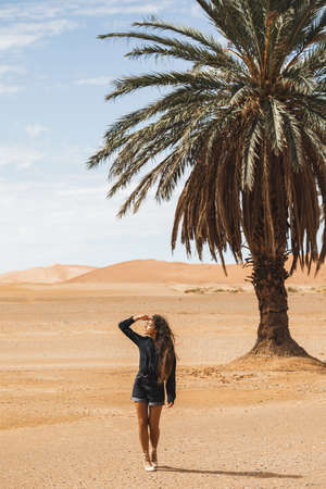 Woman walking in beautiful desert with sand dunes and one lonely palm. Travel in Morocco, Sahara, Merzouga. Freedom and travel concept.の写真素材