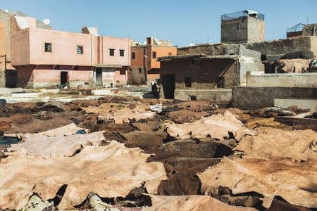 Traditional leather manufacture in Morocco. Animal abuse. Tourist landmark in Fes.