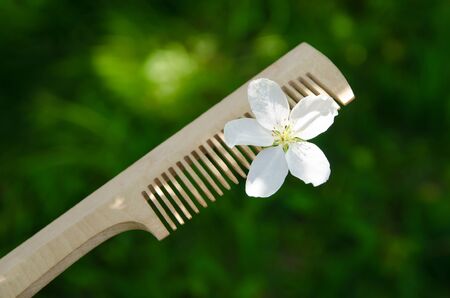 white apple tree flower on a wooden comb against of a blurry green background.の写真素材