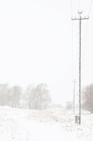 road through a snowy field with electric wooden poles and trees. vertical view.の写真素材