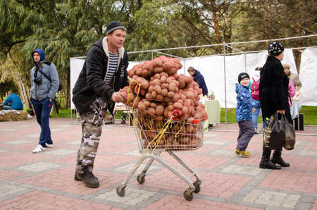 Komsomols-on-Amur, Russia - September 30, 2017. man carries several bags of potatoes in a cart at a city fairのeditorial素材