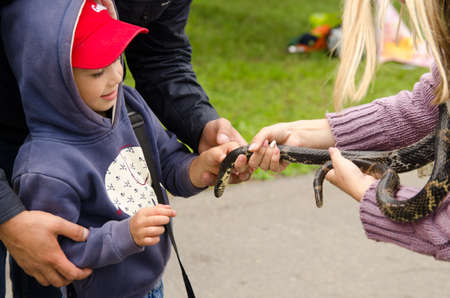 Komsomolsk-on-Amur, RUSSIA - JULY 21, 2018. Boy touches a snake overcoming her fear. Raising a child's courage and curiosity.のeditorial素材