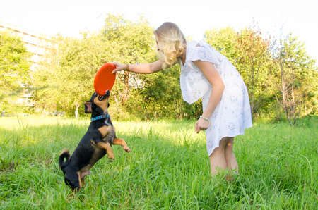 A beautiful blonde young woman in a light dress is holding a frisbee that a cute dog clung to.の写真素材
