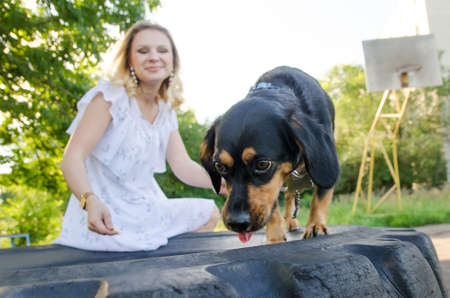 A small funny dog is looking for a treat that a beautiful blonde young woman in a light dress gives her.の写真素材