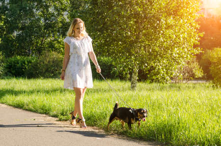 Beautiful blonde young woman with a cute dog for a walk in the summer evening in the park.の写真素材