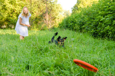 A cute dog runs after a flying disk thrown by a blonde young woman in a light dress.の写真素材