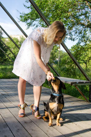 young woman gives a treat to a cute dog on a walk in the park on a summer evening. Vertical view.の写真素材