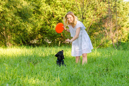 A blonde young woman in a light dress shows a flying disc to a cute dog.の写真素材