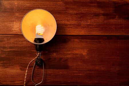 Reading, storytelling and education. Concept for writing, writer and fiction. Vintage lamp on wooden background.の写真素材