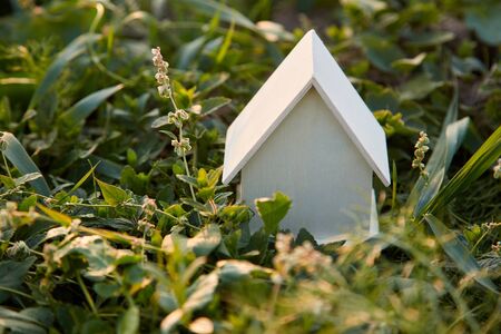 Eco-friendly home. Ecologically clean real estate property surrounded by foliage, natural greenery. Blank house mockupの写真素材