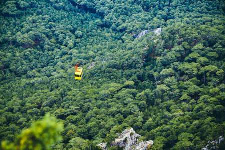 Cable car over dense forest. Mountain area, travel and summer holiday. Wild nature and adventure concept, copy spaceの写真素材