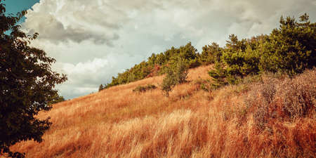 Beautiful nature landscape. Dry grass on meadow. Autumn or summer season. Hill terrain and natural scenery conceptの写真素材