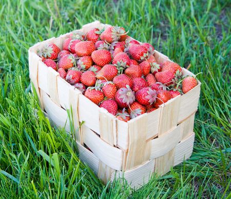 Strawberriesの写真素材