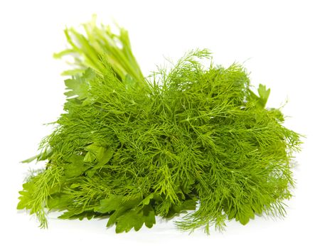 Parsley and dillの写真素材