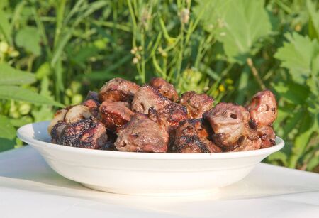 Shish kebab