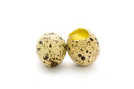 Quail eggsの写真素材