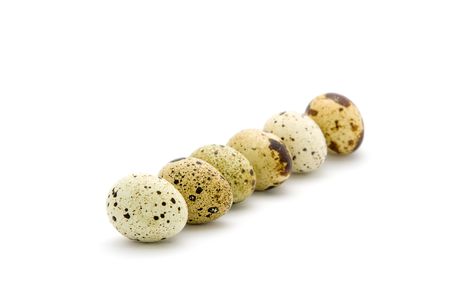 Quail eggsの写真素材