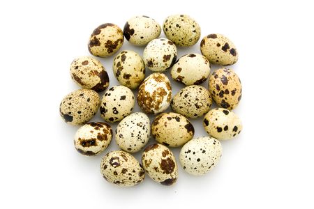 Quail eggs on white backgroundの写真素材
