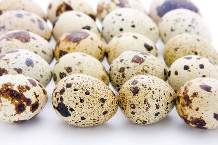 Quail eggs on white backgroundの写真素材