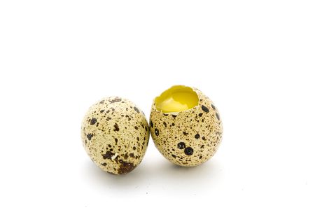 Quail eggs on white backgroundの写真素材