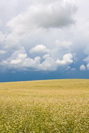 Fieldの写真素材