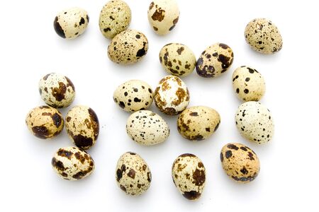 Quail eggs on white backgroundの写真素材