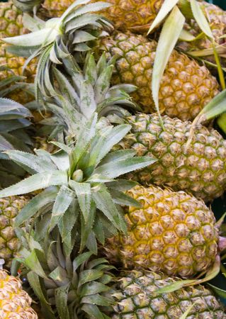 Pineapple の写真素材