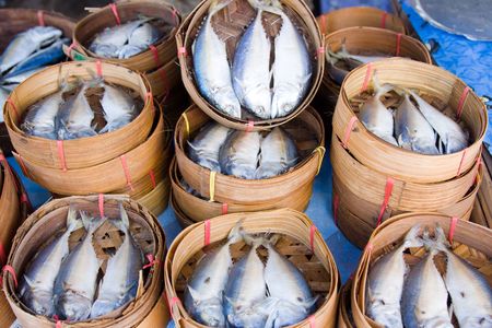 Fishの写真素材