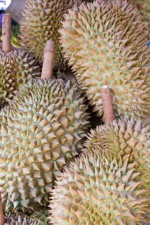 The very smelly durian fruit of Asia の写真素材
