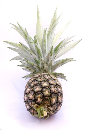 Pineapple on a white backgroundの写真素材