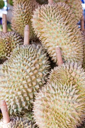 The very smelly durian fruit of Asia の写真素材