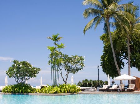 Swimming pool の写真素材