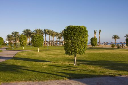 Beach on a sunny day. Hurghada city in Egypt.の写真素材