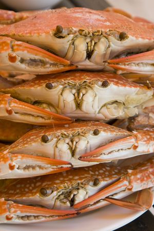 Cooked crab の写真素材