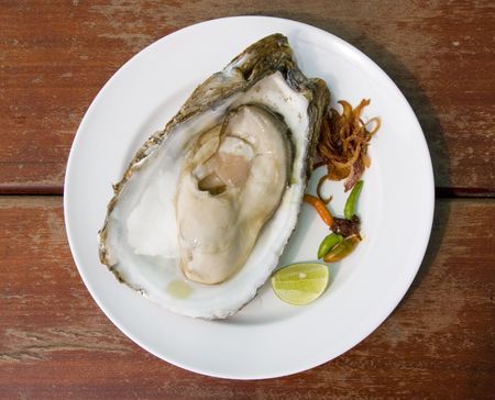 Fresh oyster の写真素材