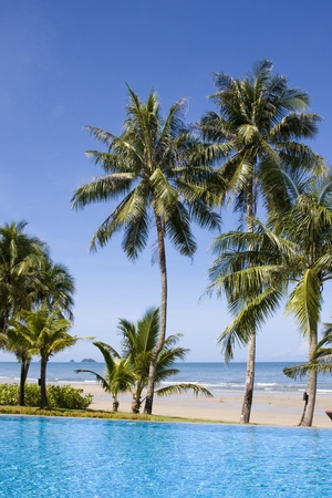 Swimming pool in Thailand の写真素材