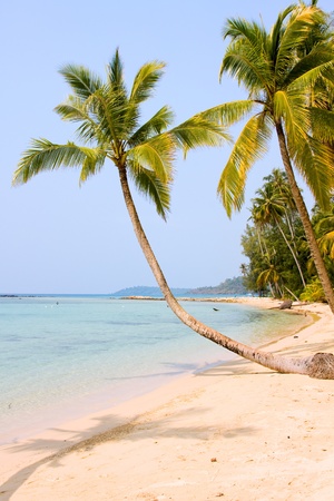 Beautiful tropical beach in Koh Kood , Thailandの写真素材